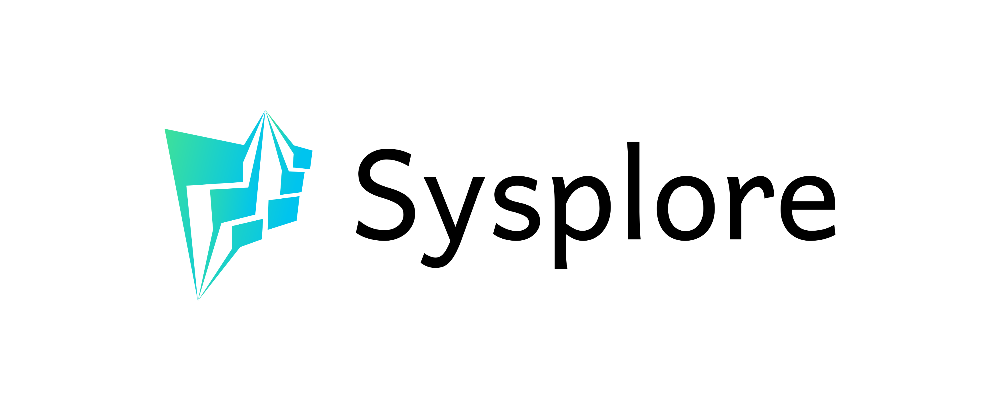 Footer Logo